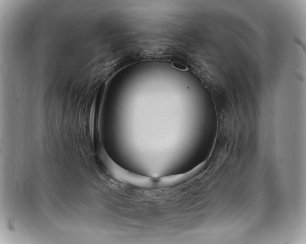 X0000098010033200803281322