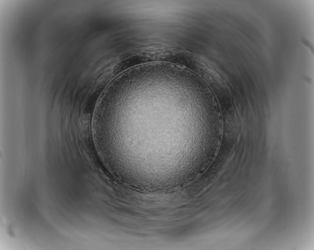 X0000098010034200803281322