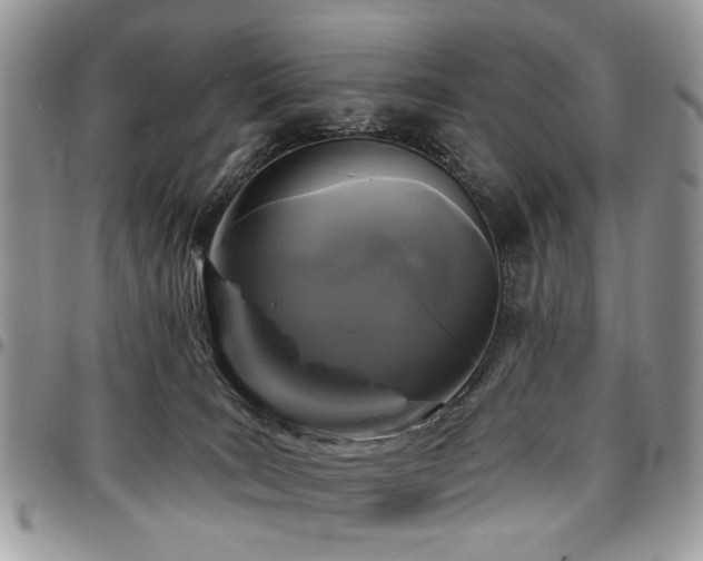 X0000098010035200803281322