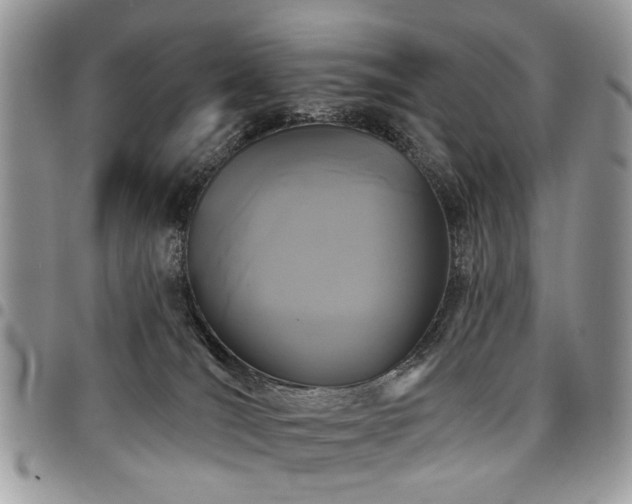 X0000098010036200803281322