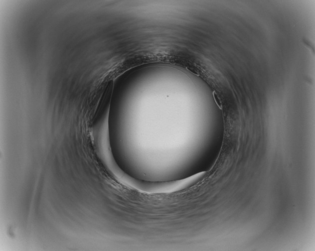 X0000098010037200803281322