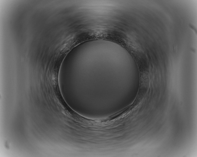 X0000098010039200803281322