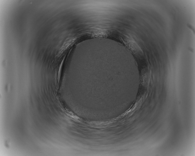 X0000098010041200803281322