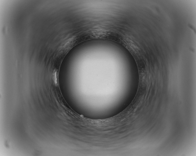 X0000098010042200803281322