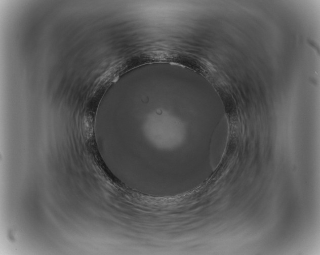 X0000098010043200803281322