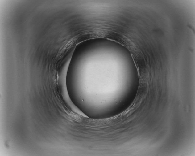 X0000098010045200803281322