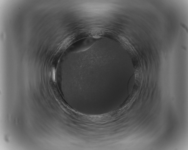 X0000098010046200803281322