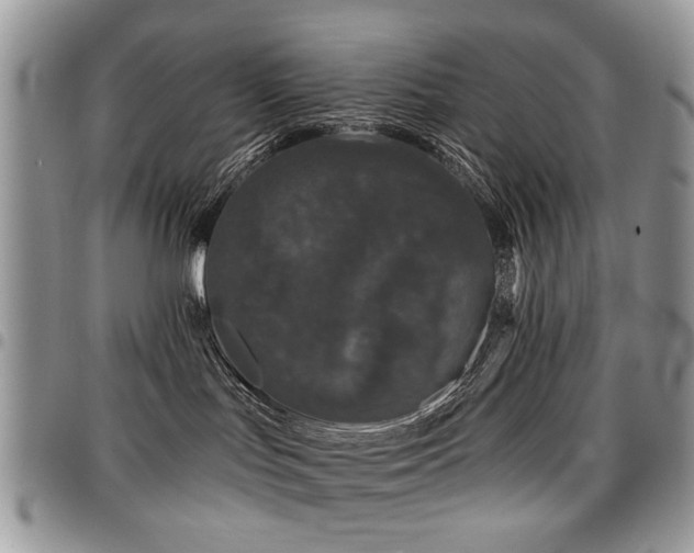 X0000098010047200803281322