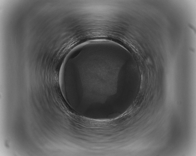 X0000098010048200803281322