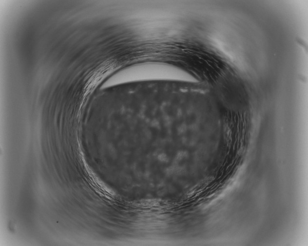 X0000098010049200803281321