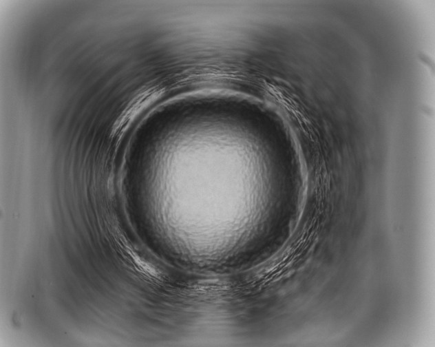 X0000098010050200803281321