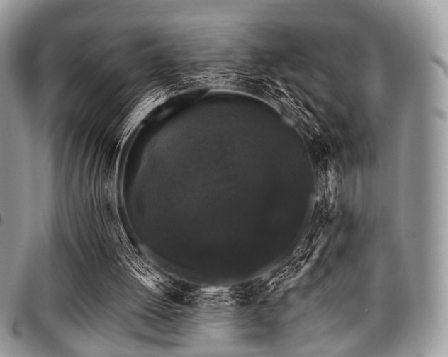 X0000098010052200803281321