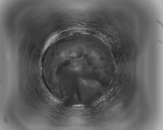 X0000098010053200803281321