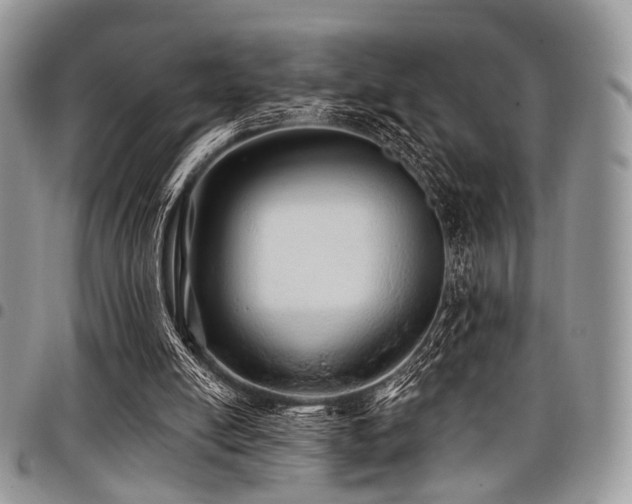 X0000098010054200803281321