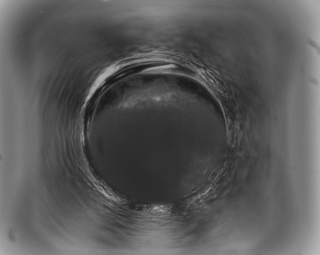 X0000098010056200803281321