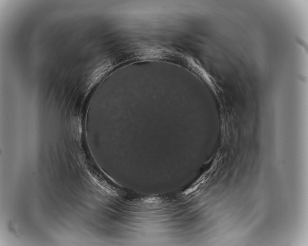 X0000098010059200803281321