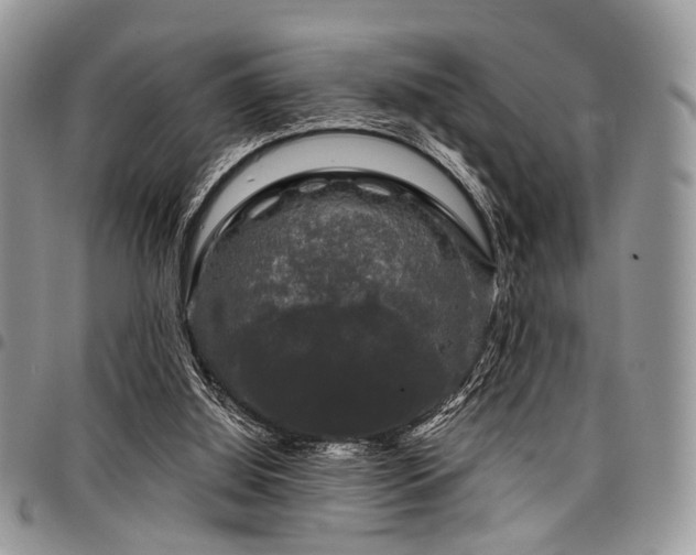 X0000098010060200803281321