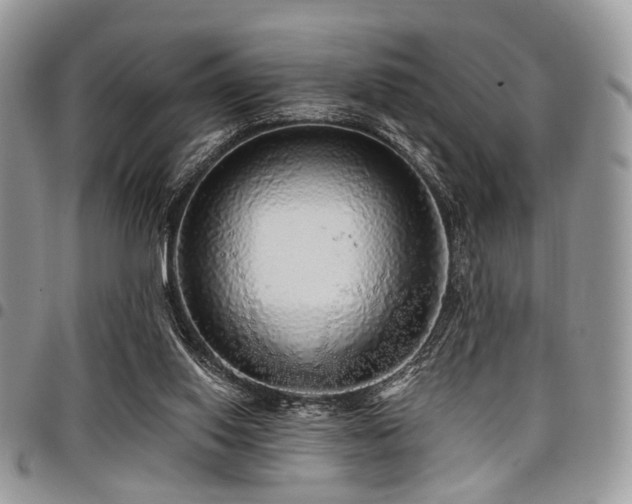 X0000098010062200803281321