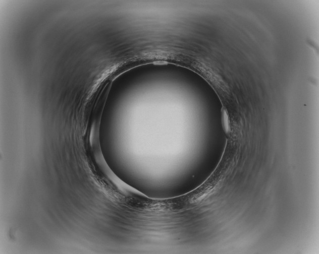 X0000098010064200803281321