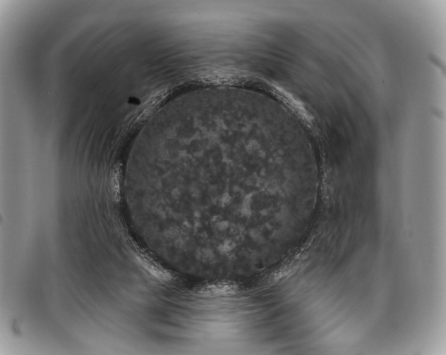 X0000098010065200803281321