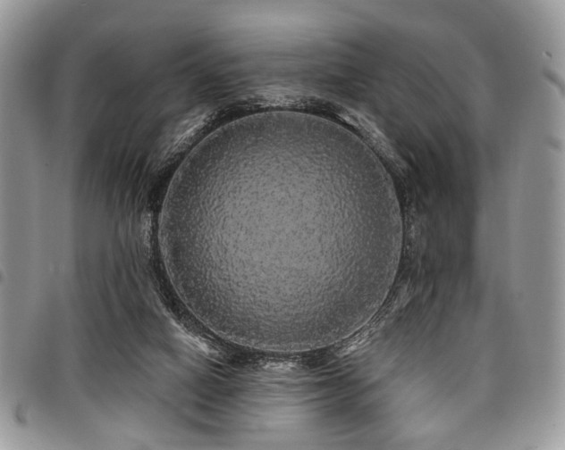 X0000098010066200803281321
