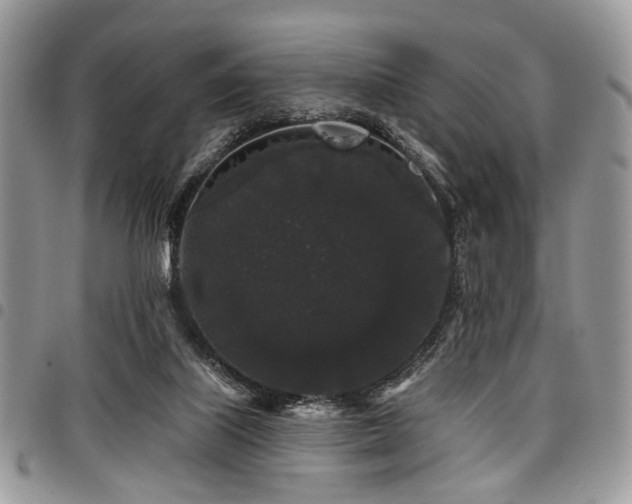 X0000098010067200803281321
