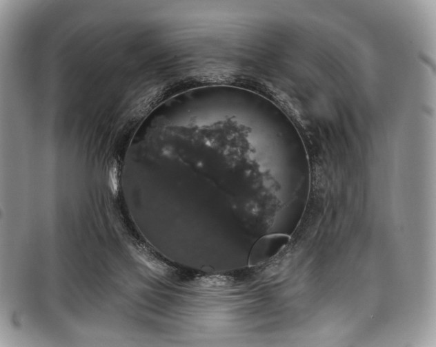 X0000098010069200803281321