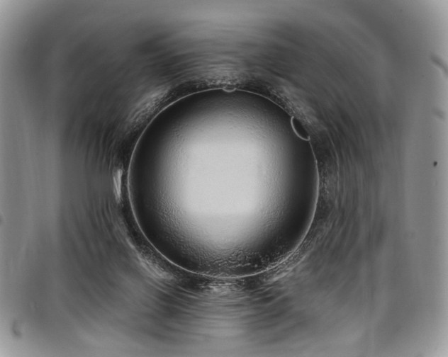 X0000098010070200803281321