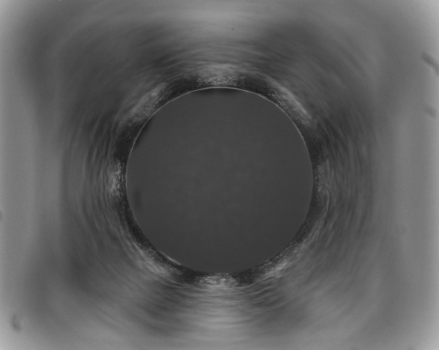 X0000098010073200803281321