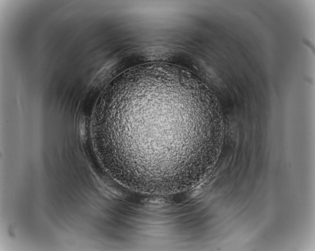 X0000098010074200803281321