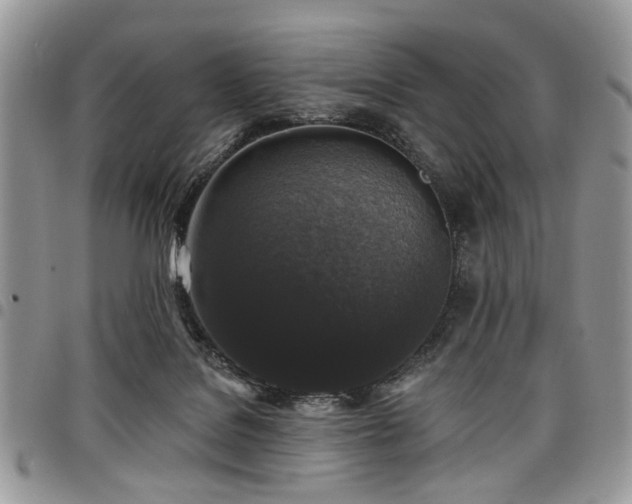 X0000098010076200803281321