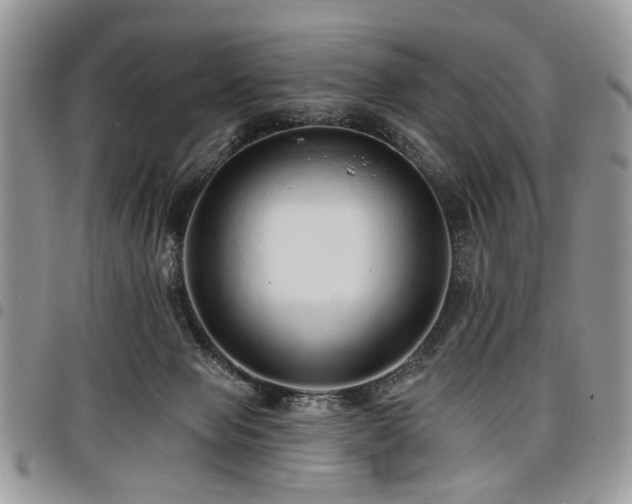 X0000098010077200803281321