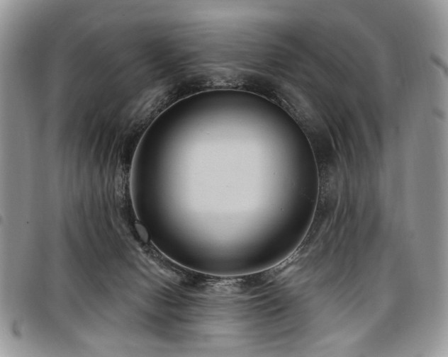 X0000098010078200803281321