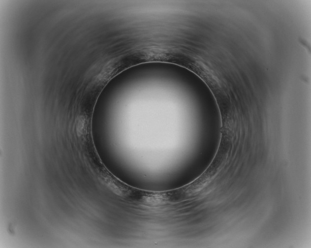 X0000098010079200803281321