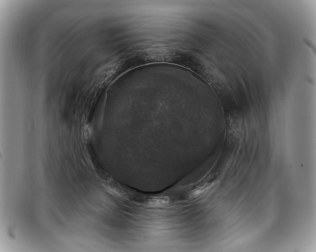 X0000098010080200803281321