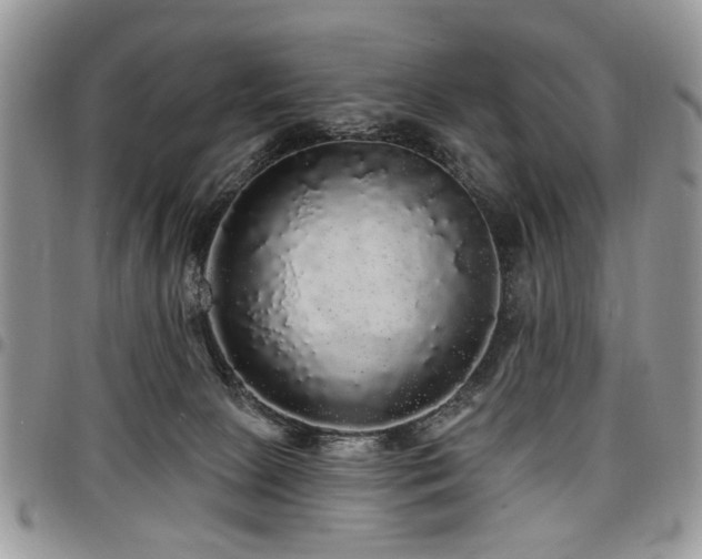 X0000098010081200803281321