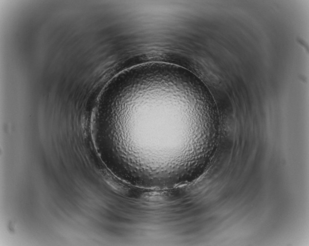 X0000098010082200803281321