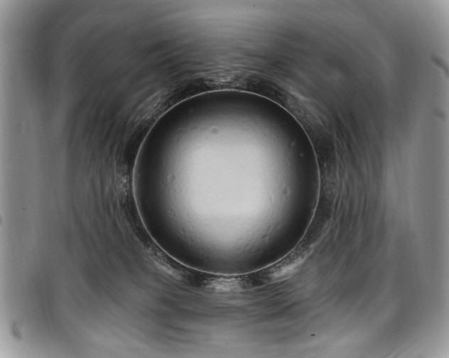 X0000098010085200803281321