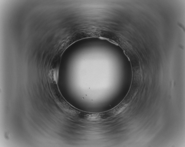 X0000098010088200803281322