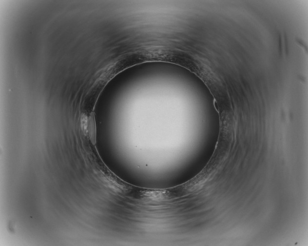 X0000098010089200803281322