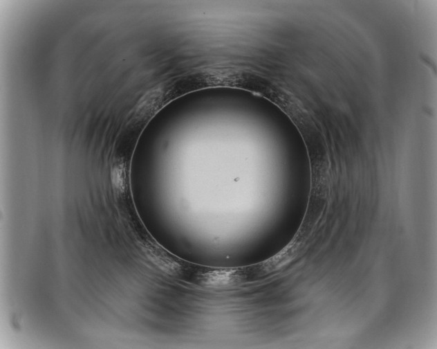 X0000098010090200803281322
