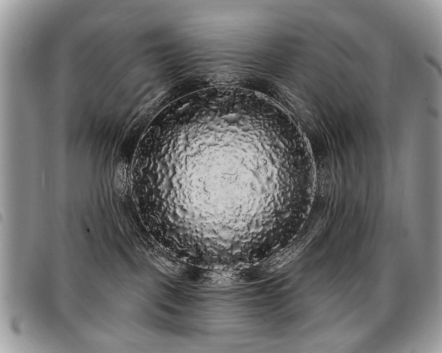 X0000098010093200803281322