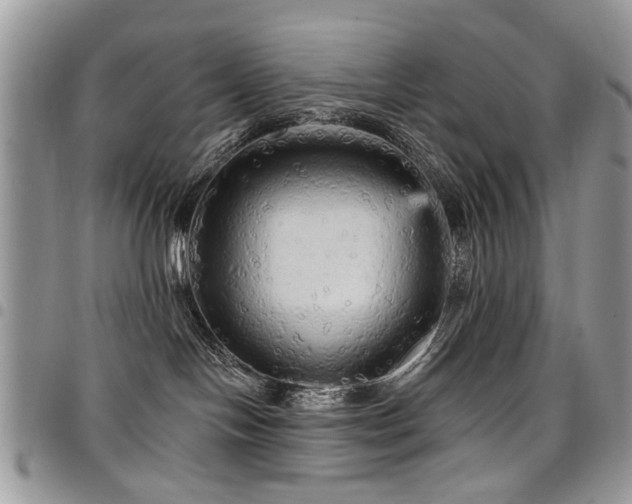 X0000098010094200803281322