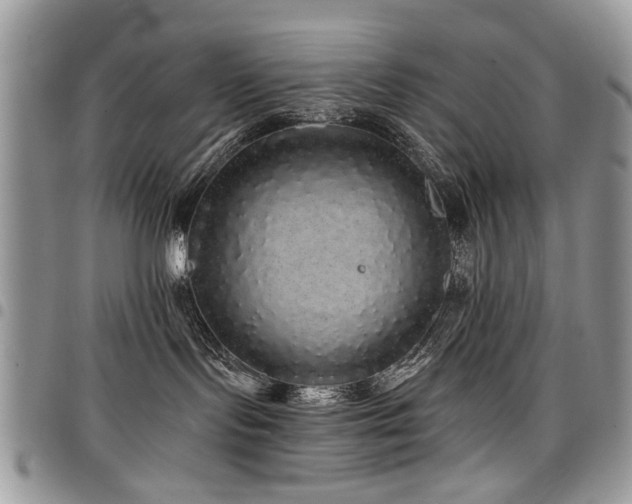 X0000098010095200803281322