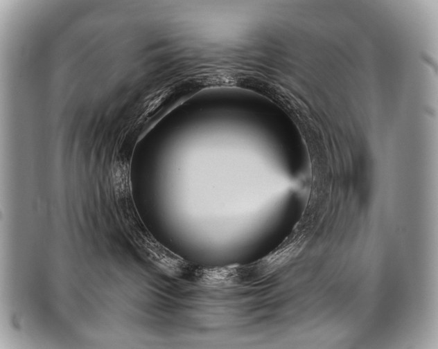 X0000098010096200803281322