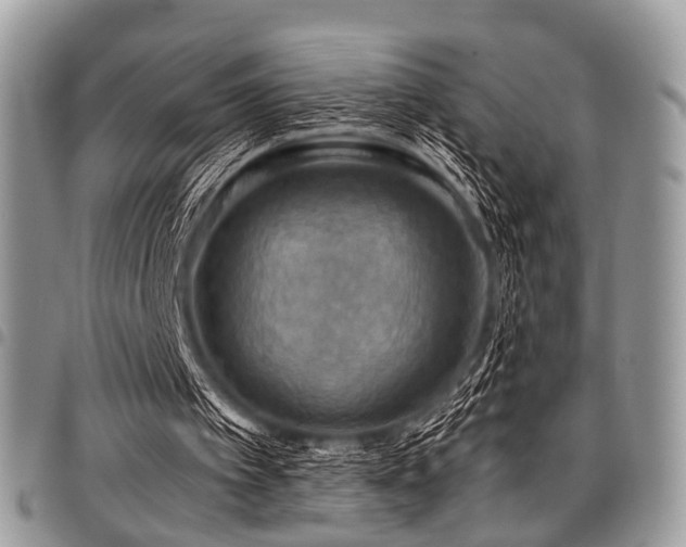 X0000098010097200803281321