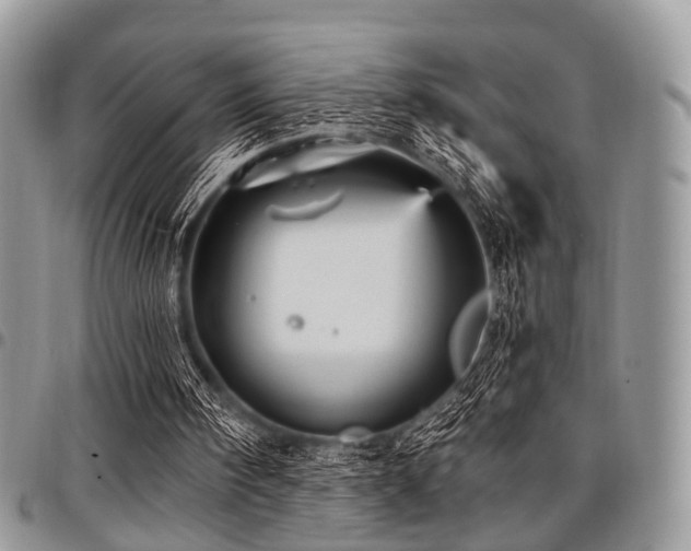 X0000098010098200803281321