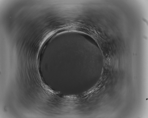 X0000098010100200803281321