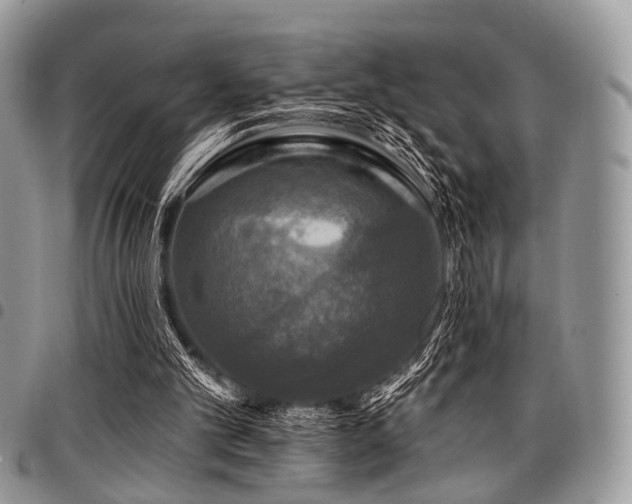 X0000098010101200803281321