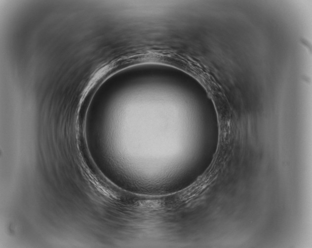 X0000098010102200803281321